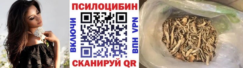 Галлюциногенные грибы Cubensis  купить закладку  Слюдянка 